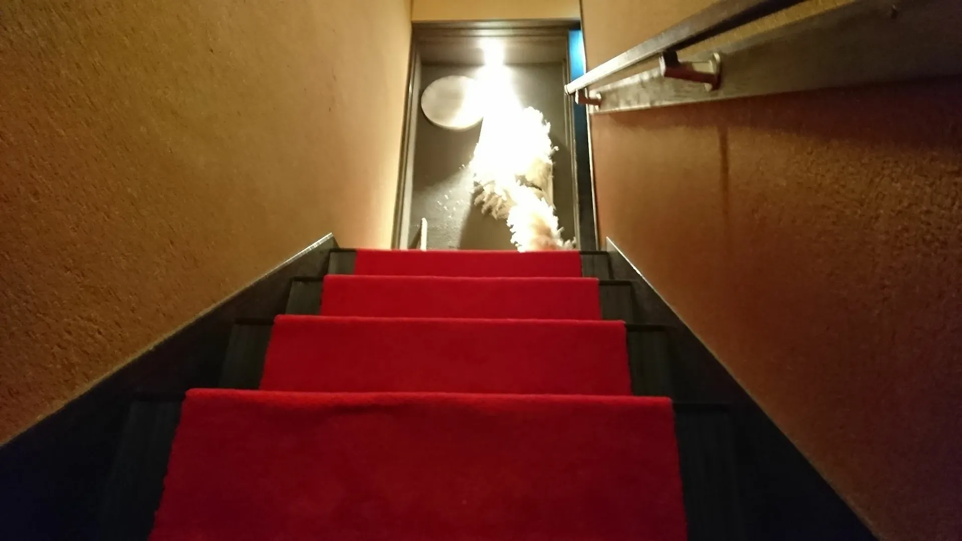 Guest house Yadoya Hotel Kyoto